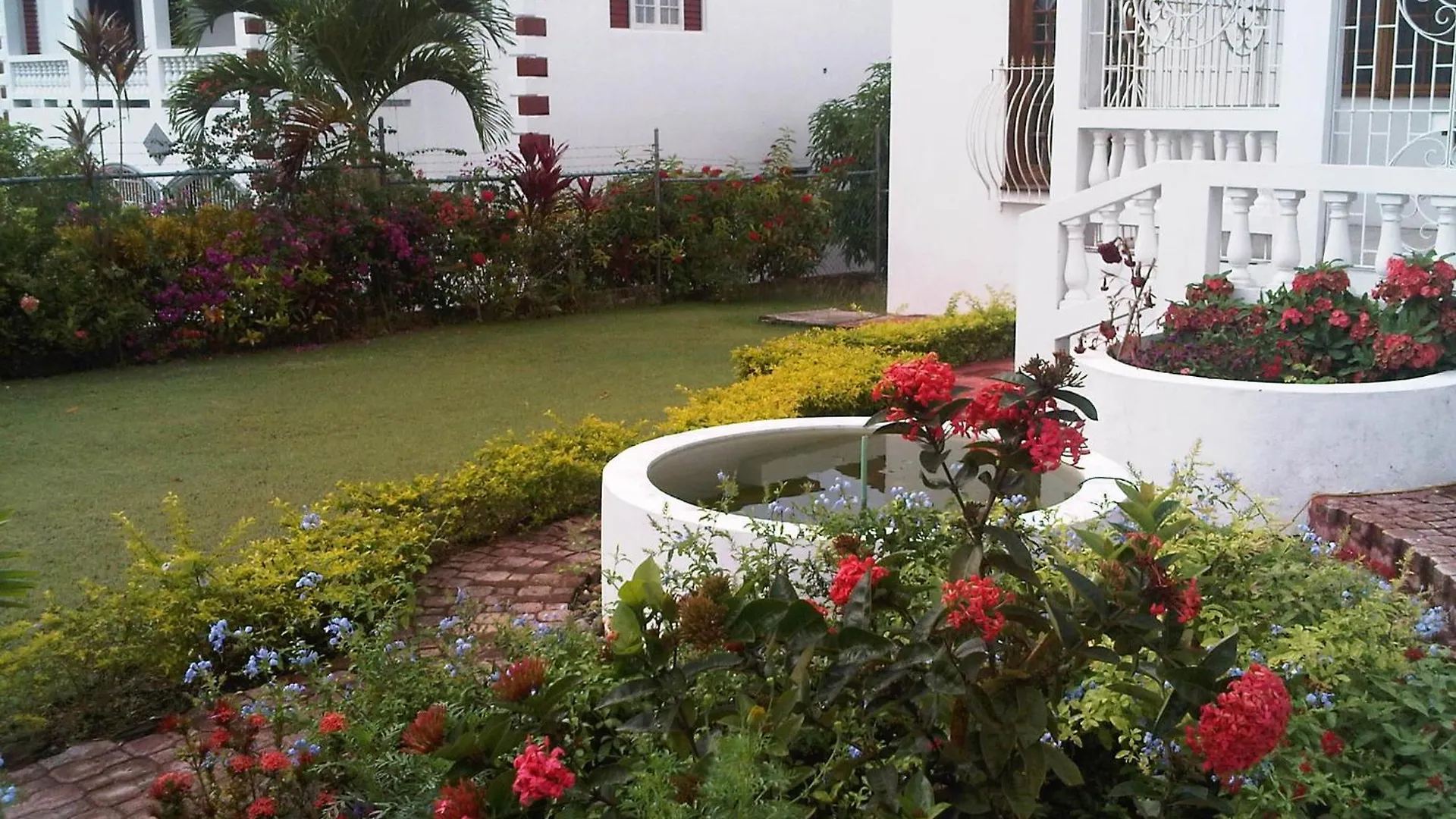 Montego Bay Westgate Hills Jamaica Melrose Place ג'מייקה